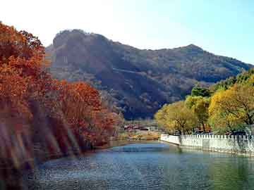 新澳天天开奖资料大全旅游团，硼砂价格